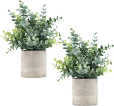 2 Pack Small Fake Plants Eucalyptus Potted Artificial Plants for Shelf Desk Home