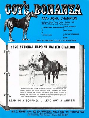 Coy s Bonanza AQHA Champion National Hi-Point Halter Stallion 1971 Vtg Print Ad