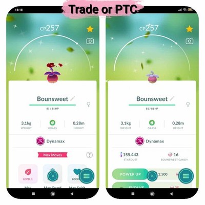 Pokemon Shiny Dynamax Bounsweet - Tr'ade 20k or P.T.C (Pls read description)