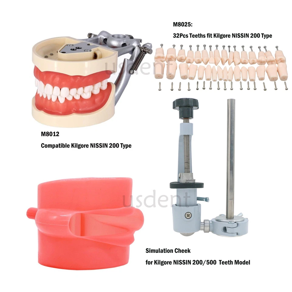 Tipodonte dental Kilgore Nissin modelo 32 piezas poste de montaje de dientes extraíble EE. UU. 200 Foto 2 de 4