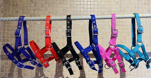 SHEEP ALPACA GOAT HALTER HEADCOLLAR *FREE POSTAGE* *MULTI DISCOUNT SAVING* - Picture 3 of 4