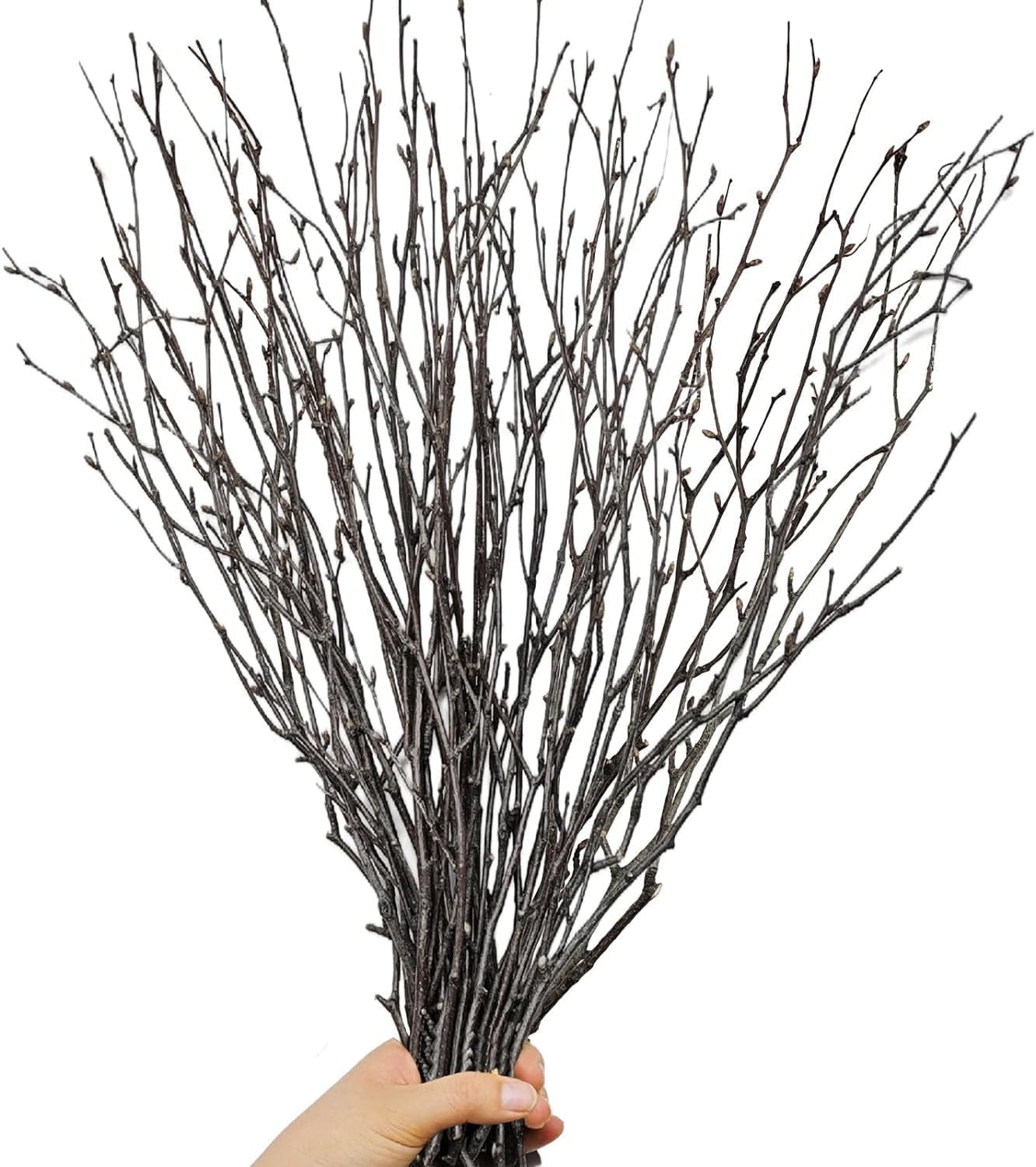 30Pcs Real Dried Birch Twigs - 17” Decorative 100% Natural Birch Branches for Ea