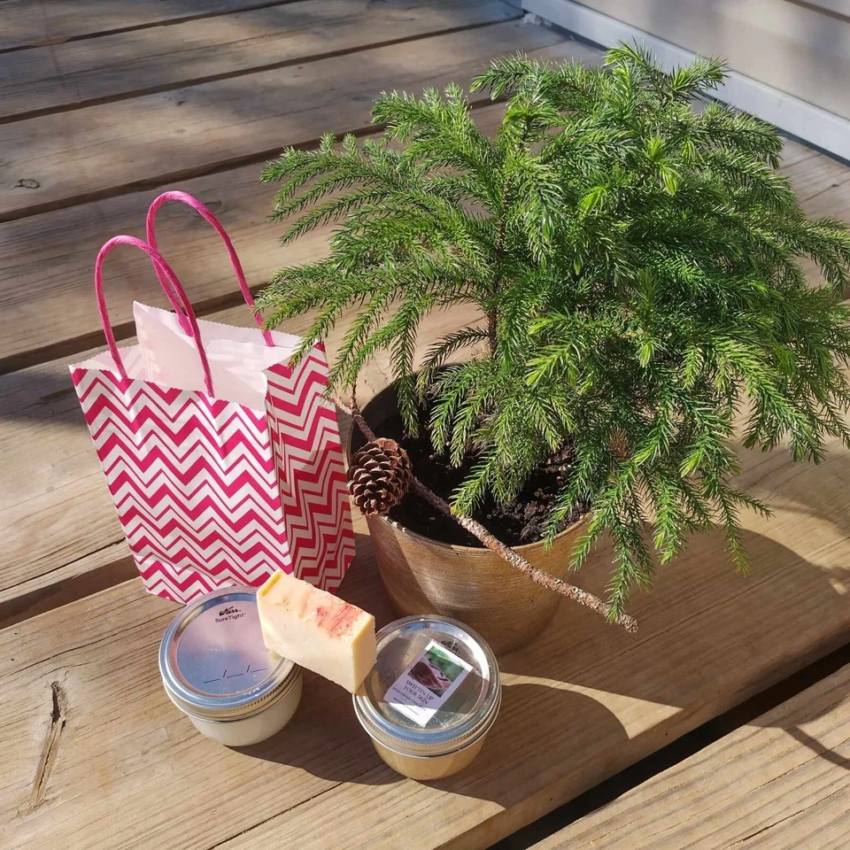 Artisan body butter for Women and Men, made with organic butters and oils. - Image 3 of 3