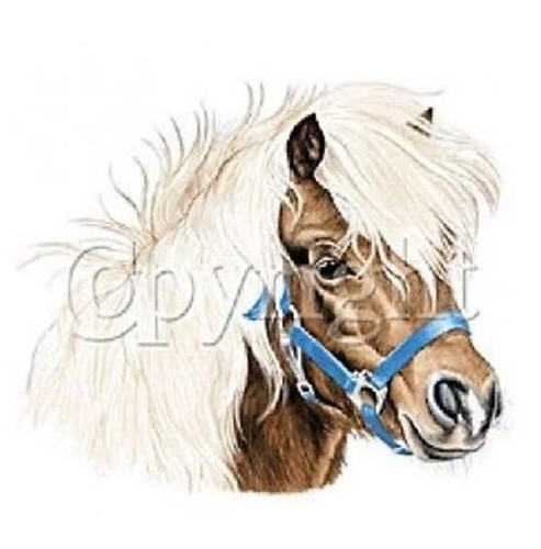 Horse Variety T Shirt Transfer Print for Application with HEAT PRESS MACHINE - Picture 17 of 17