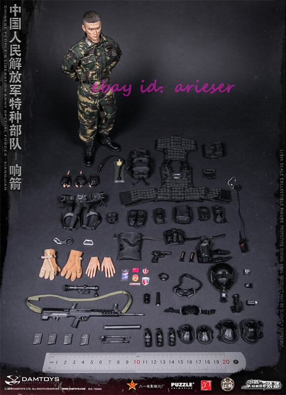 Damtoys 78048 1/6 Chinese People's Liberation Army Special