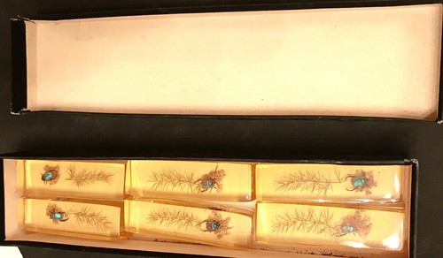 Antiker Plexiglas Block ECHTER Käfer Insekt Pflanze Natur Szene Vintage Unikat Geschenk - Bild 7 von 7