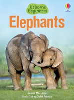 Elephants | James Maclaine | Englisch | Buch | Beginners | Gebunden | 2011