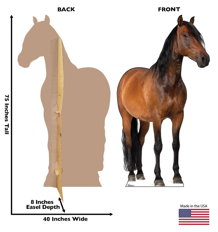 HORSE Lifesize Standup Standee Cardboard  CutOut Prop Thoroughbred  Large West - Image 3 of 4