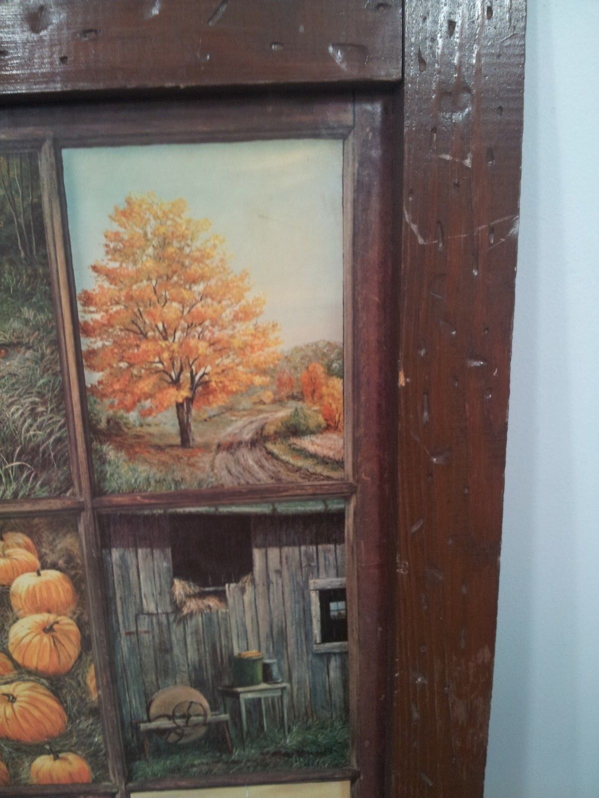 Picture 4 of 12