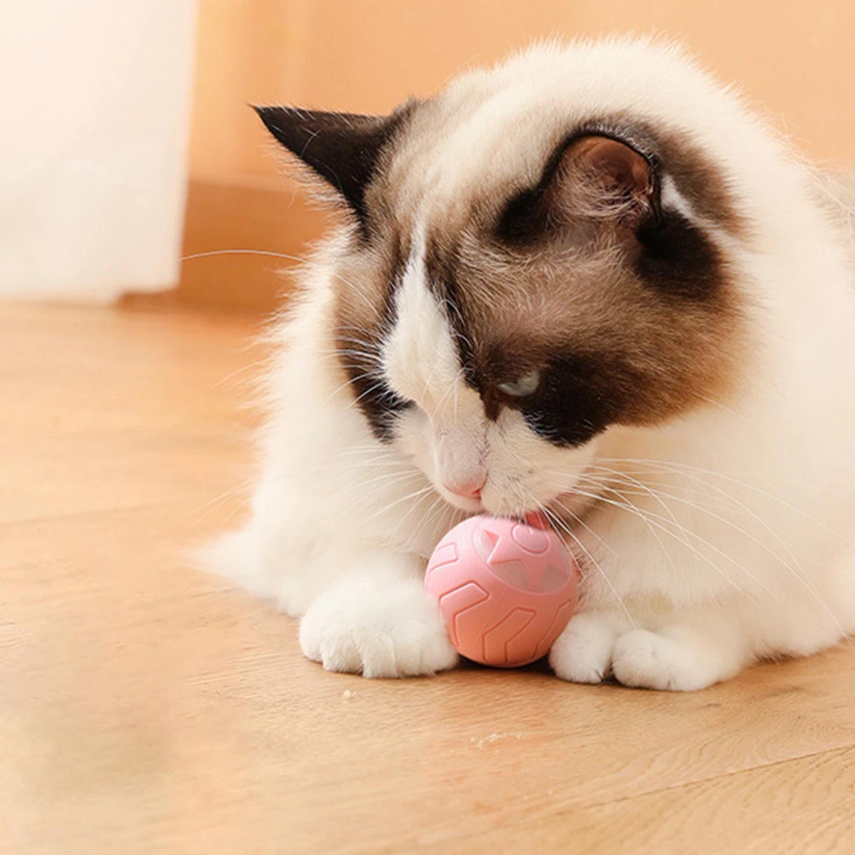 Cat on sale play ball