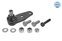 Meyle 16-160100007 Traggelenk Vorne FüR Renault Clio II Kangoo Express Megane I