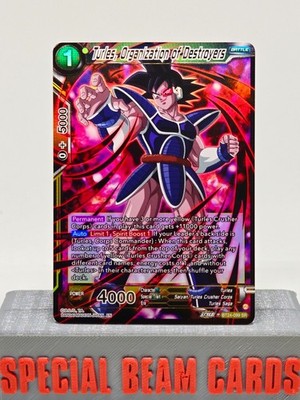 Turles, Organization of Destroyers BT24-099 SR