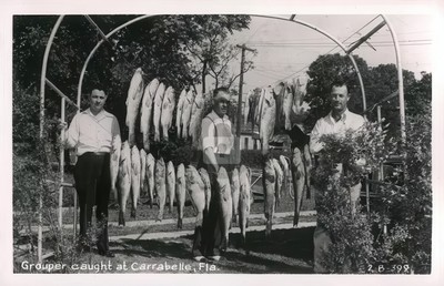 Fishermen w Day's Catch of Grouper Carrabelle Florida FL RPPC Postcard COPY
