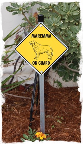 Warning! Maremma On Guard - Beware Dog Aluminum Dog Sign or Vinyl Sticker - Picture 4 of 5