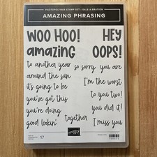 Stampin Up AMAZING PHRASING Sentiment Stamp Set For Cards Scrapbooks - NIP