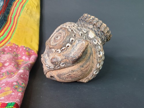 Old Papua New Guinea Phallocrypt Penis Sheath - Early 1900's - Picture 7 of 10