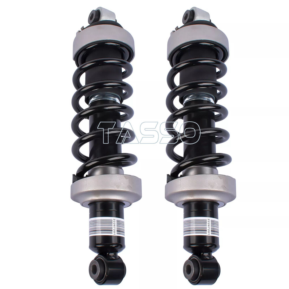 2X Rear Left Right Shock Absorber Strut MagneRide For Audi R8 V8 V10 2007-2015
