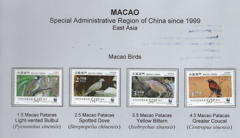Macao / 2011 / #1344 / WWF / Macao Birds / Set of 4 / MNH / 256a-3
