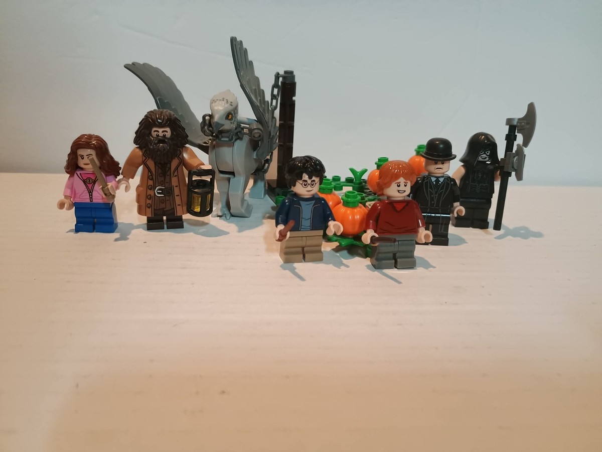 LEGO 75947 Harry Potter: Hagrid's Hut: Buckbeak's Rescue Used