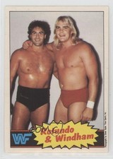1985 O-Pee-Chee WWF Mike Rotunda Barry Windham Rotundo & Windham #18 0m8b