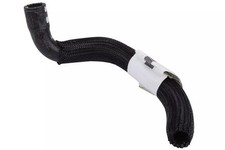 Genuine GM Heater Outlet Hose 26240166