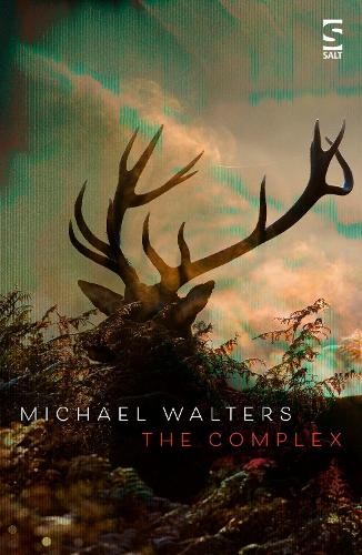 The Complex by Michael Walters - 9781784631628