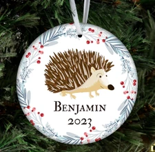 Hedgehog Pet Customizable Christmas Tree Ornament, Personalized Stocking Stuffer