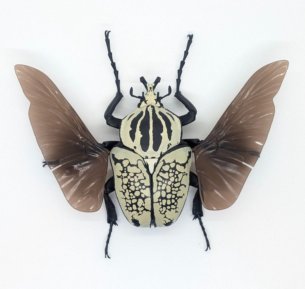 Bandai Japan Gashapon Goliathus Orientalis 7inch Big Realistic