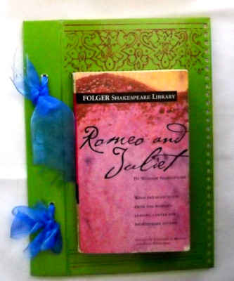 Romeo and Juliet by William Shakespeare paperback W/Costume art drawing book 