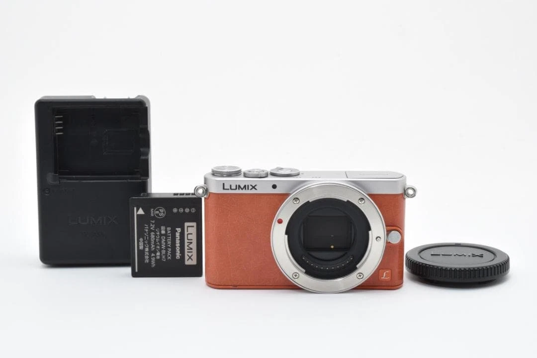 Panasonic LUMIX GM1 Digital Cameras for Sale | Shop New & Used
