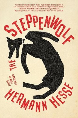 Hermann Hesse The Steppenwolf (Taschenbuch)