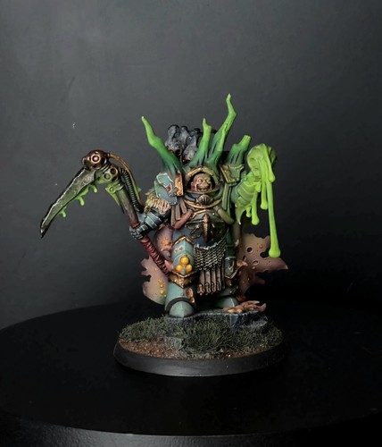COMMISSION Painted. Lord of Contagion & Blightlords. Death Guard. Warhammer 40k