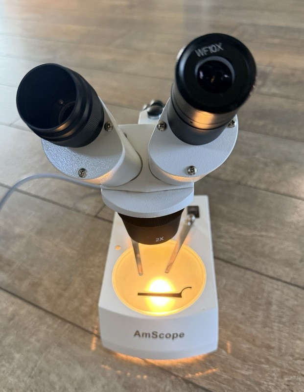 AmScope Binocular Upright Stereo Microscope WF10X, 2X Magnification, Medical Lab