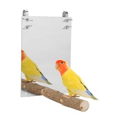 Bird Mirror, Large Stainless Steel Bird Mirror Perch Cockatiel Swing Toys