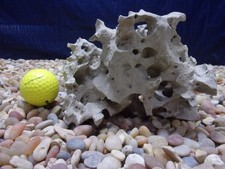 03 Texas/TN Holey Rock 05x07x04 Aquarium Reptile Honeycomb Limestone