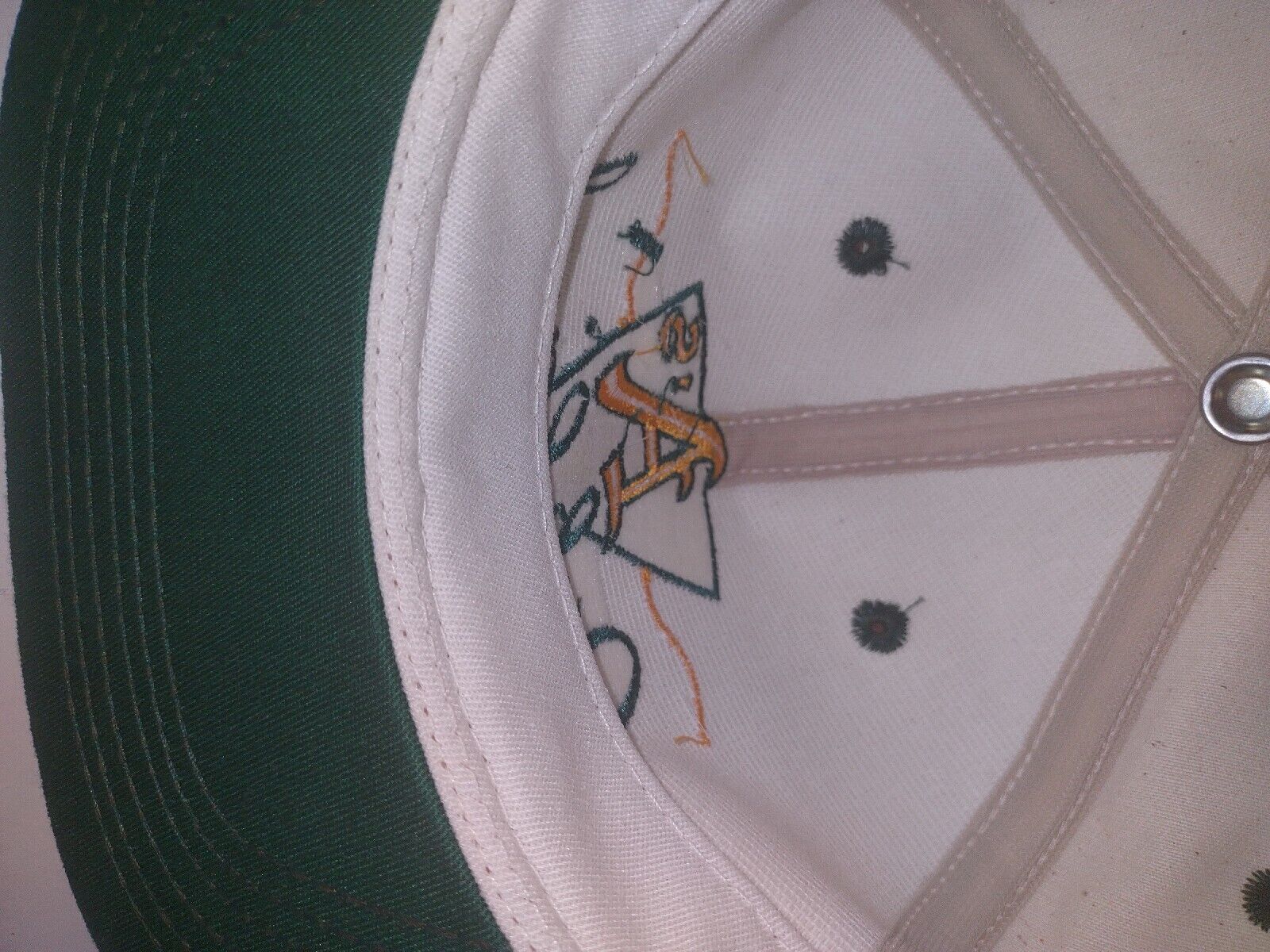 Foto 9 di 11