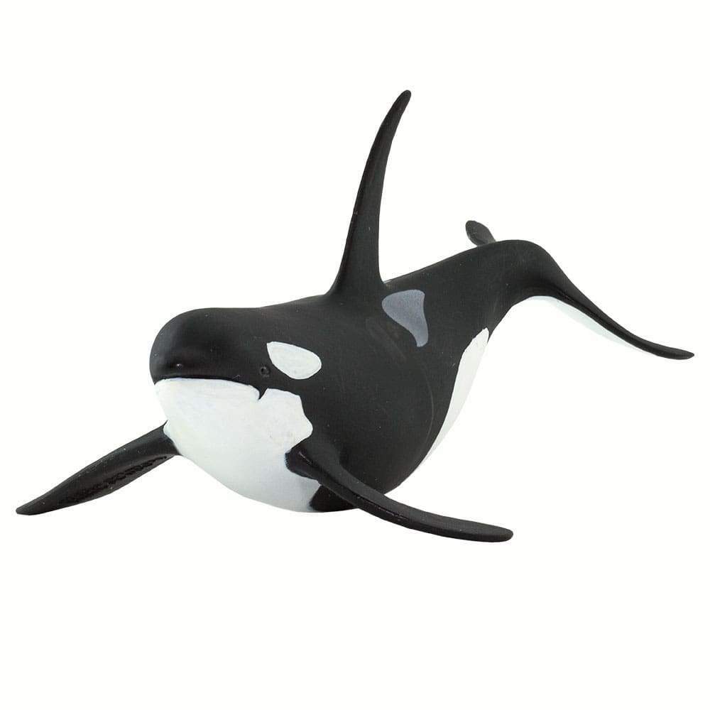 safari ltd killer whale