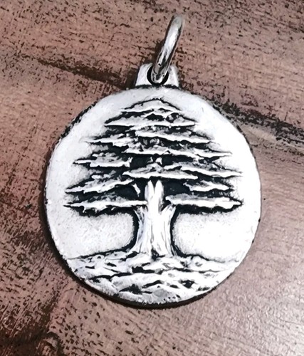 Heavy James Avery Large Tree Pendant Sterling Silver Neat Piece! 18.5 Grams WOW! - 第 1/5 張圖片