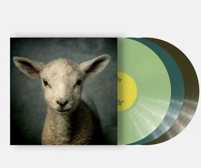 Elevation Music- Lion Vintage Vinyl Record Set, Green Blue Brown Multi-Color LPs