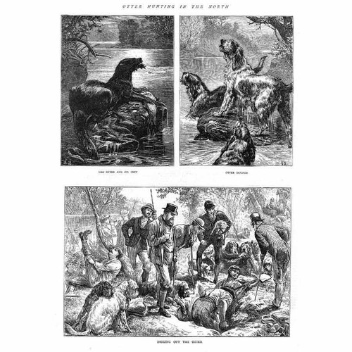 OTTER HUNTING in the North - Antique Print 1872