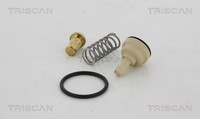 Thermostat KüHlmittel Triscan 8620 329105 FüR Skoda VW Audi Golf Seat EOS 5 1K1