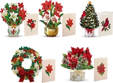 Holiday Collection 3D Pop-Up Flower Card Set - 6 Inch Greeting Cards, Pack of 5
