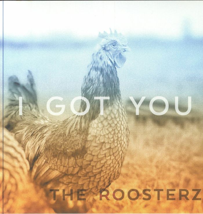 ROOSTERZ, The - I Got You - Vinyl (7"")