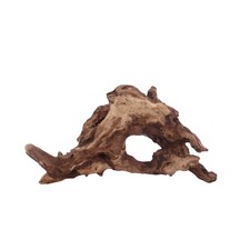 M Driftwood Flußwurzel Aquarium Wurzel 3811 Mangrove Holz Deko Aquascaping Natur