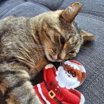 4CATS 4 Katzen - X-Mas - Lebkuchen Weihnachtsmann - Katzenspielzeug mit Katzenminze & Silberrebe oder Baldrian