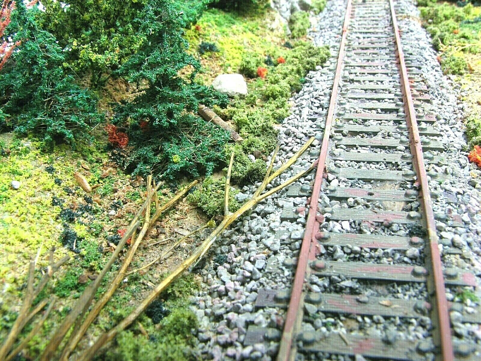 Picture 5 of 8