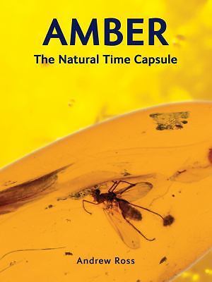 Amber: The Natural Time Capsule by