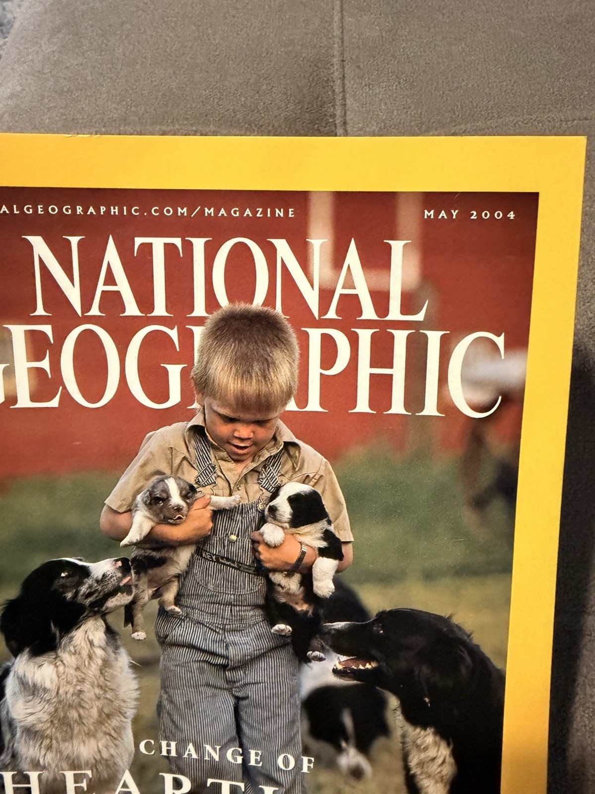 National Geographic May, 2004; Great Plains; Maya Grave; Hanoi; Europe; Wolves