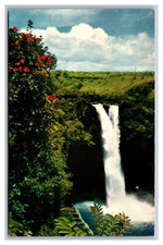 Hilo HI Hawaii Rainbow Falls, African Tulip Trees Chrome Postcard