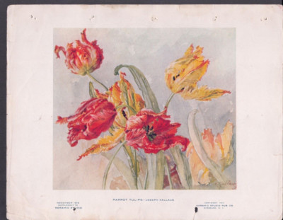 November 1913 Keramic Studio Design Parrot Tulips Joseph Kallaus Illustration